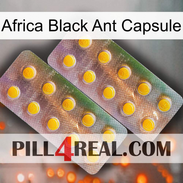 Africa Black Ant Capsule new10